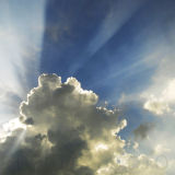 Sun Rays