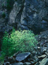 Fragile environment