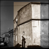 By the fern. Baku, 1995