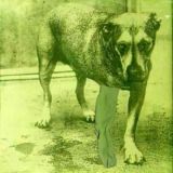 (1995) Alice In Chains - Alice In Chains
