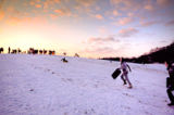Image of Sledging on Parliament Hill Now Available on a Postcard