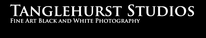 sjack-photography