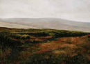 Niall Wright  Bog Vista