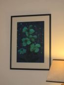 Blue Poppy