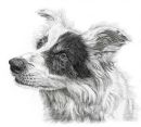 Flossie