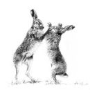 Hares Boxing