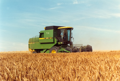 Harvesting wheat in 1989