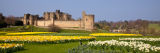 Spring flowers at Alnwick Castle