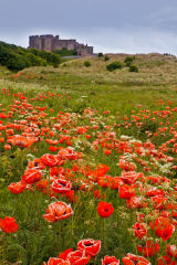 Bamburgh Castle