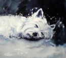West Highland Terrier
