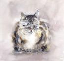 The Cat