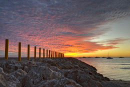 Landscape image of the week on Birdphotographers.net