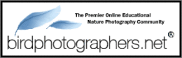 Nature photography forum Birdphotographers.net