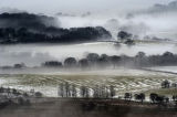 Exhibition - A Sense of Place - 17 April to 8 May 2014