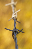 Dont fence me in 