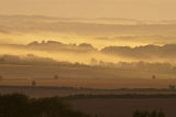 misty haystack dawn