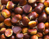 sweet chestnuts