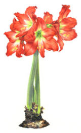 9th World of Coloured Pencil Exhibition