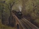 Dolgoch Viaduct