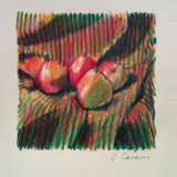 Pears No.1
