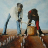 Saffron Pickers