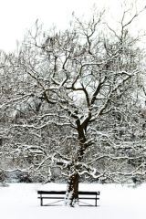 Winter is back! Let’s enjoy it!