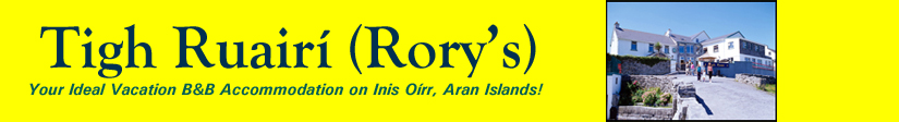 Tigh Ruairi (Rory's) B&B, Inis Oirr, Aran Islands
