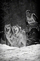 Schlittenhundesport